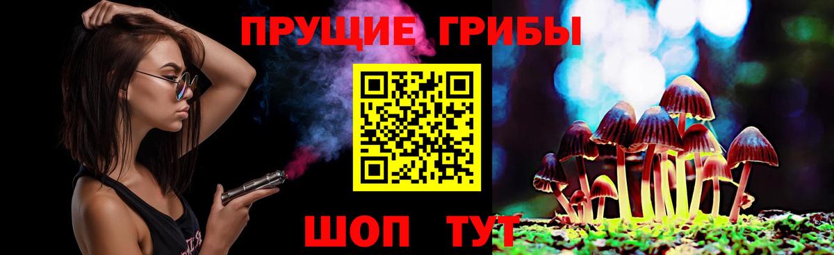 Псилоцибиновые грибы MAGIC MUSHROOMS Котовск