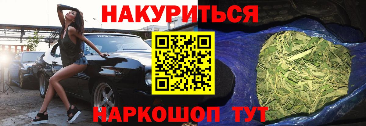 МАРИХУАНА сатива Котовск